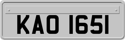 KAO1651