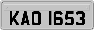 KAO1653