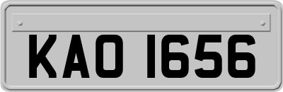 KAO1656