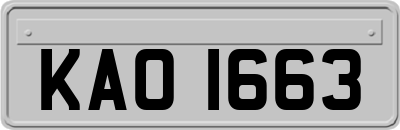 KAO1663