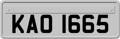 KAO1665