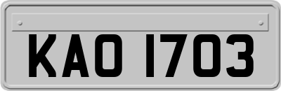KAO1703