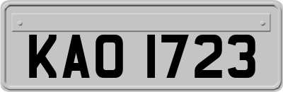 KAO1723