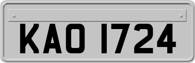 KAO1724