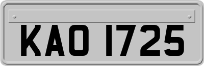 KAO1725