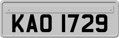KAO1729