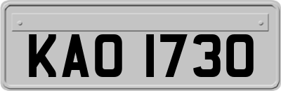 KAO1730