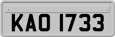 KAO1733