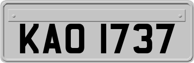 KAO1737