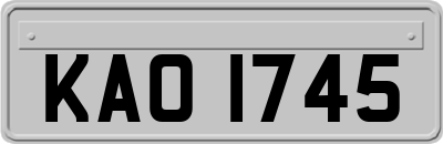 KAO1745