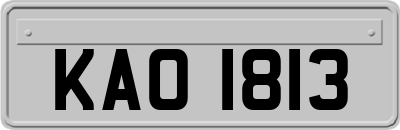KAO1813