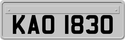 KAO1830