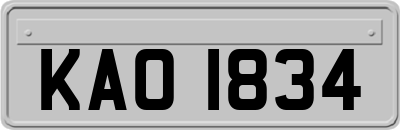 KAO1834