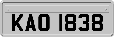 KAO1838
