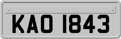 KAO1843