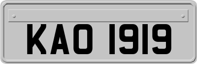 KAO1919