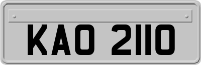 KAO2110