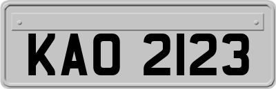 KAO2123