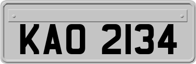 KAO2134