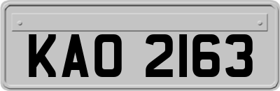 KAO2163