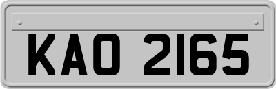 KAO2165