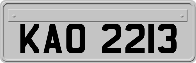 KAO2213