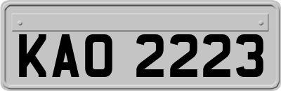 KAO2223