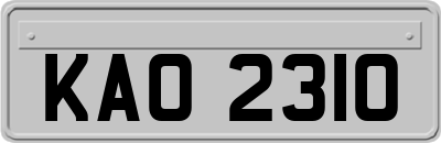 KAO2310