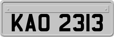 KAO2313