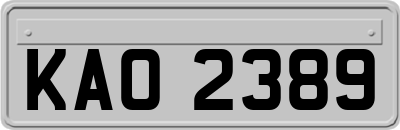 KAO2389