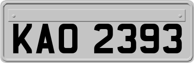 KAO2393
