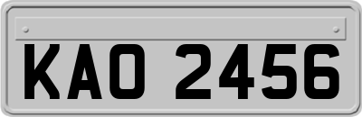 KAO2456