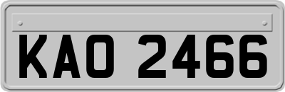 KAO2466