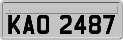 KAO2487