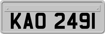 KAO2491