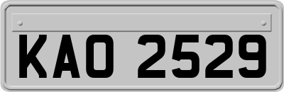 KAO2529