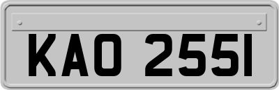 KAO2551