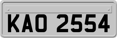 KAO2554