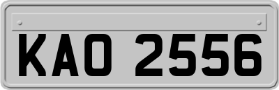KAO2556