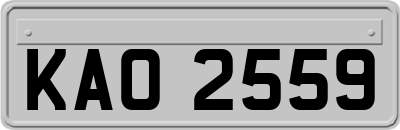KAO2559