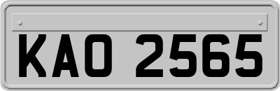 KAO2565