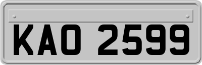 KAO2599