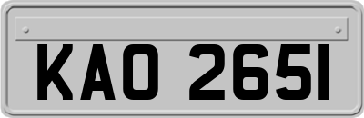 KAO2651