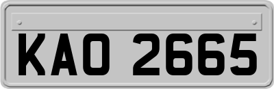 KAO2665