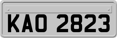 KAO2823