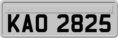 KAO2825