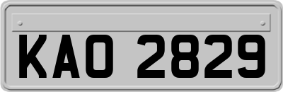 KAO2829