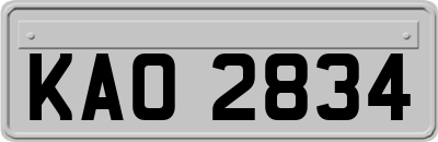 KAO2834