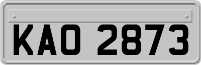 KAO2873