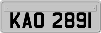 KAO2891